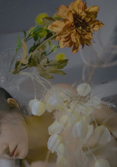 福利电影导航_BD英语全集免费播放